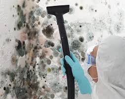 Best Comprehensive Air Testing for Mold Contaminants in Shillington, PA